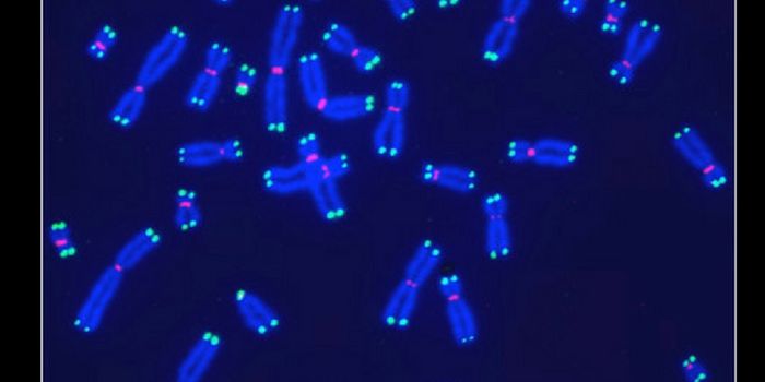 Impede Telomerase Activity & Inhibit Cancer Growth?