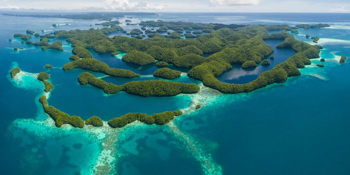 Palau to ban sunscreen