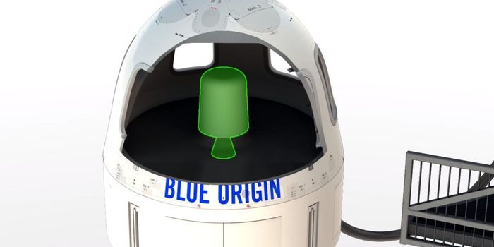 Blue Origin's Test Mission Next Month Could Destroy the Historic New Shepard Rocket