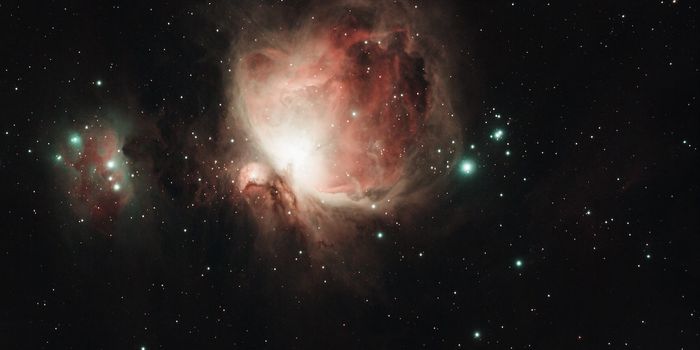 Inducing Hibernation Could Protect Living Organisms from Cosmic Radiation