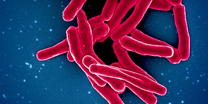 A Phone App Can Screen for TB, Which is on the Rise