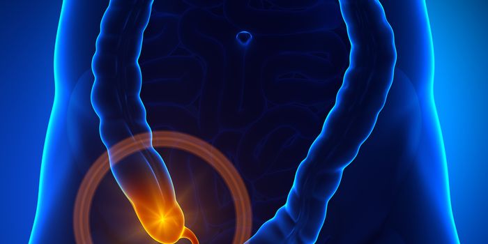 Oh So That's What the Appendix Does...