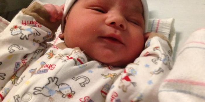 Functional Brain Organization of Newborns Altered By Prenatal Cocaine Exposure