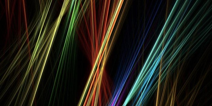 Researchers Reveal How a Trio of Proteins Fine-Tunes Cell Movement