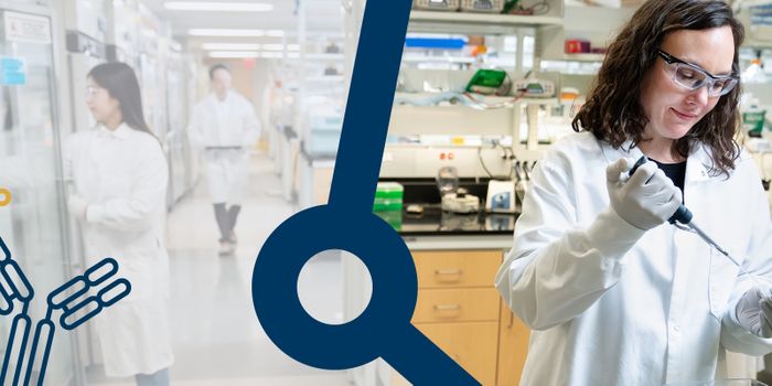 How-to De-Risk Antibody Pair-Based Assay Development