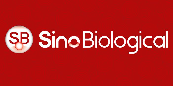 Sino Biological's Listing on the Shenzhen Stock Exchange