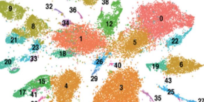 An Atlas of Gene Activity in Each Cell of a Whole Animal