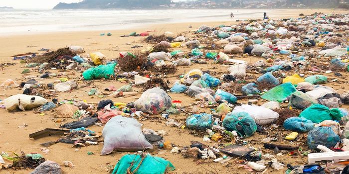 UK looks into a tax on single-use plastics