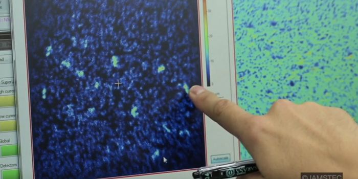 After 100 Million Years Under the Seafloor, Ancient Microbes Come Alive