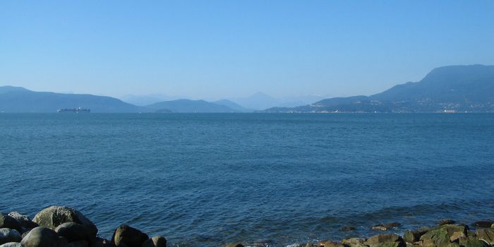 Virus Seems to Spread From Salmon Farms to the Wild