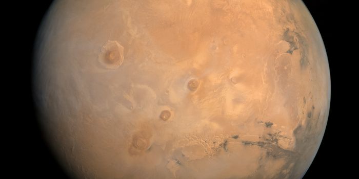 Microbes Survive Shock Waves and Toxic Salts in Mars Lab