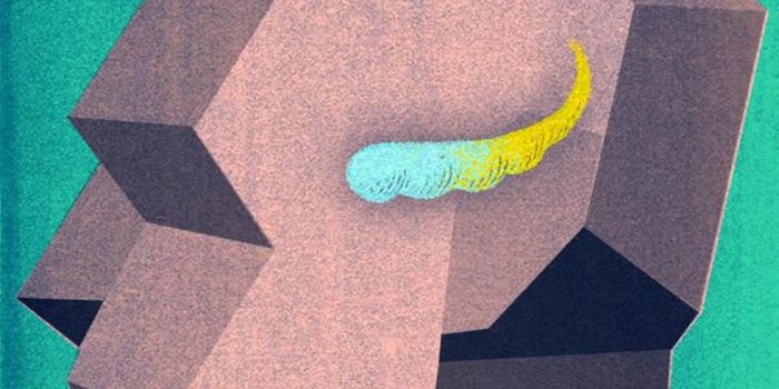 Gene Expression is Different in Two Parts of the Hippocampus