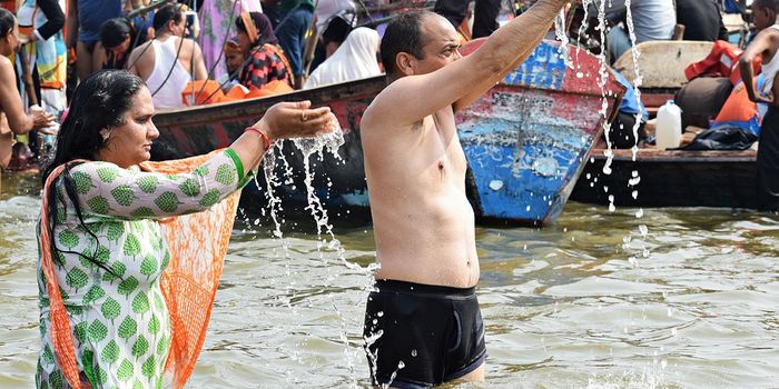 Can flesh-eating turtles clean the Ganges?