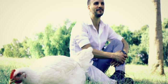 Lab-Grown Meat Picks up Steam and Funding