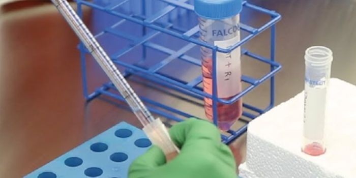 Tips on Bringing Stem Cells out of Deep Freeze