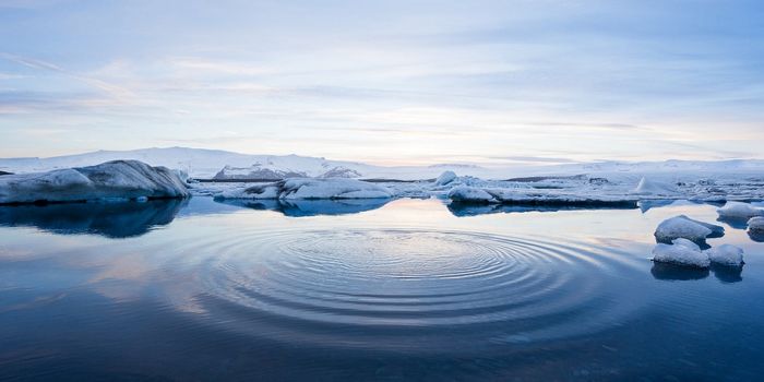 New Study Assesses Key Indicators of Arctic Climate Change