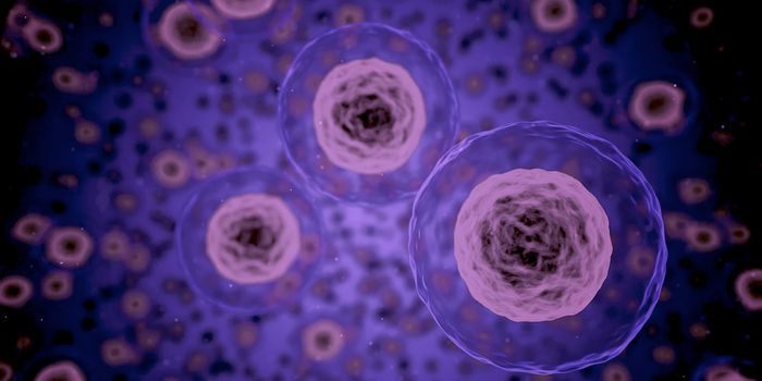 When the Gut is Under Stress, Quality Control of Egg Cells Fails