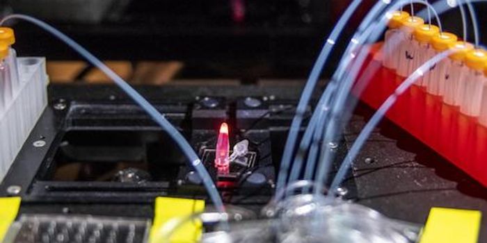 New, Non-toxic Technique to Synthesize DNA