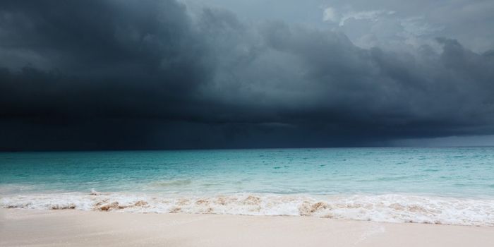 Caribbean Sea Salt Can Affect the Climate
