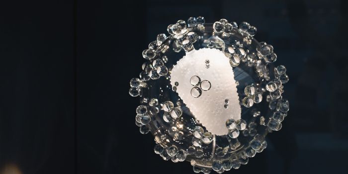 Immune Enzyme Kills Viruses but Makes Tumors Stronger