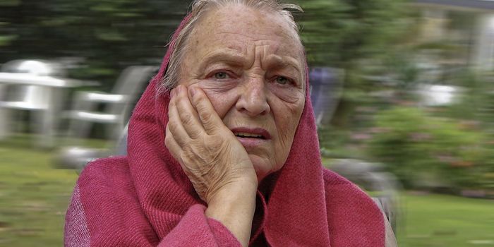 Gut fungi linked to pancreatic cancer