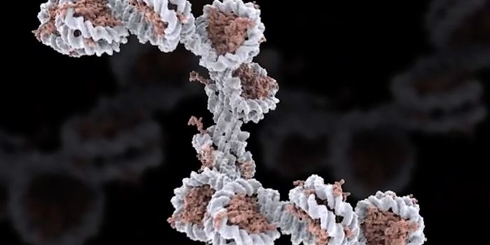 Keeping Stem Cells in a State of Unlimited Potential