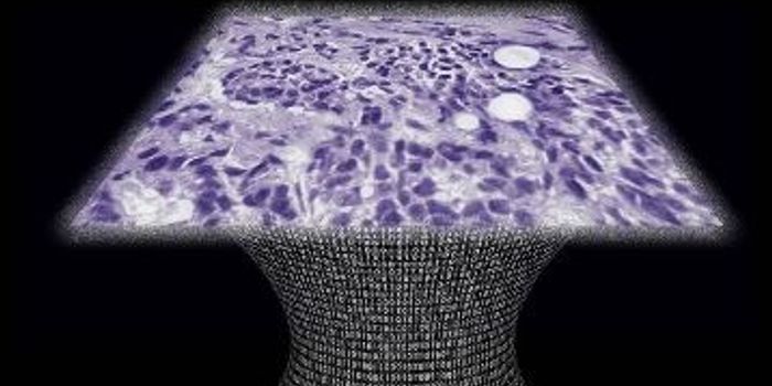 First Lens-Free Microscope Permits High-Throughput 3-D Tissue Imaging - Pathology-lab friendly