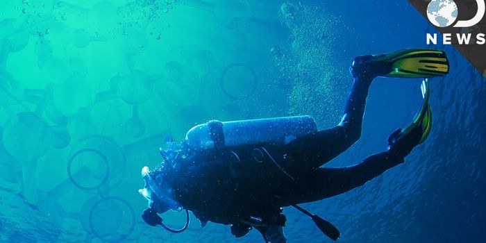 Could the Next Antibiotic be Hidden on the Ocean Floor?