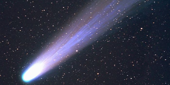 Where Did Comets Actually Come From?