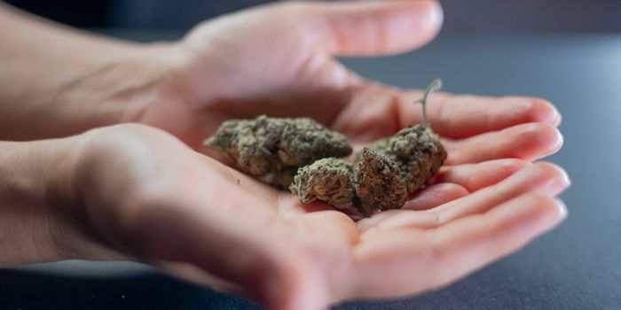 Cannabinoid Pain Treatment for Kidney Disease Patients