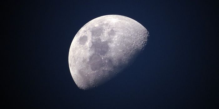 Rusty Lunar Rock Hints that the Moon Has a Dry Interior