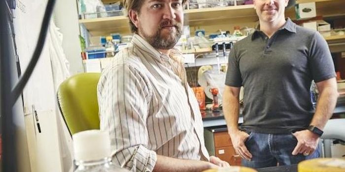 The Gut Microbiome can Help Shield Against Arsenic Toxicity