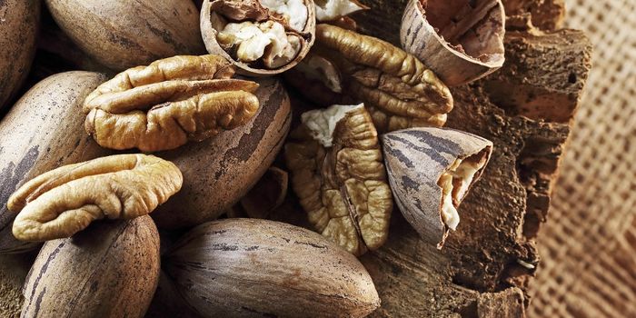 Pecans Improve Heart Health and Cholesterol