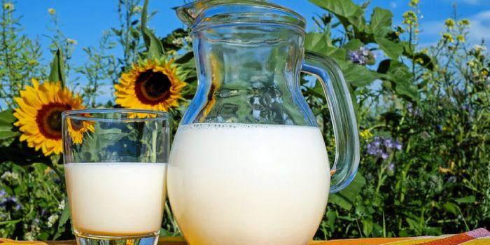 The Milk Diet that Could Lower Ovarian Cancer Risks