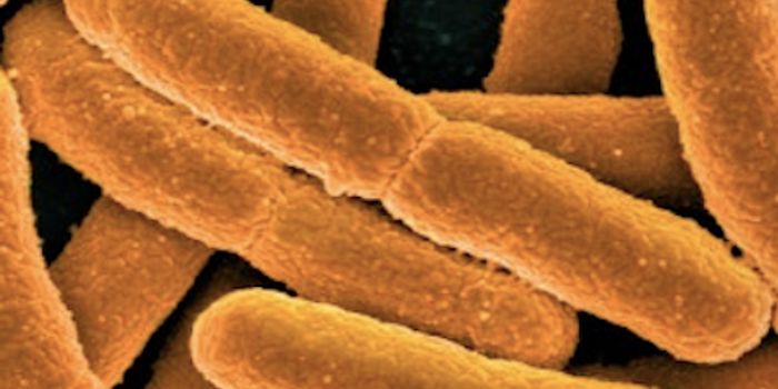 Tightening Control of Bacterial Gene Expression