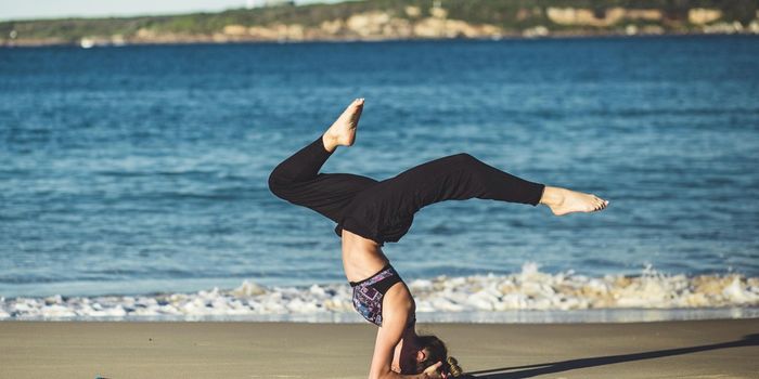 The Loss of This Protein Alters Muscles' Reaction to Testosterone