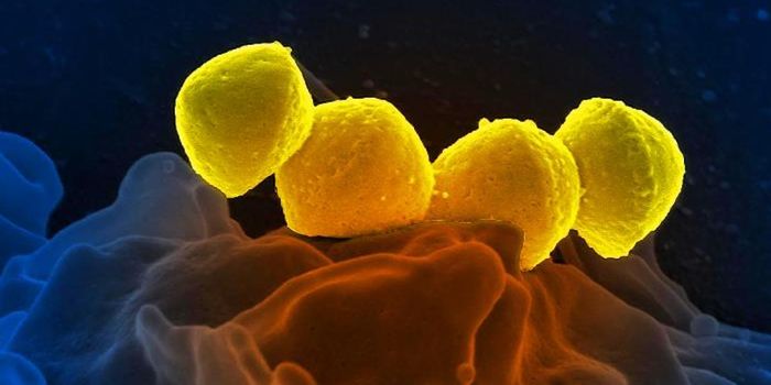 A New Form of Antibiotic Resistance is Discovered