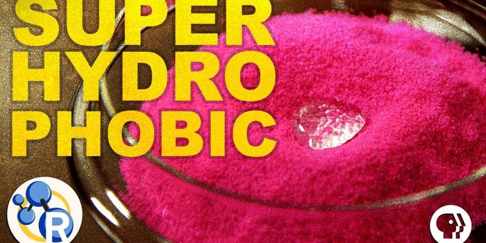 Crazy Chemistry Makes Objects Impervious to Water