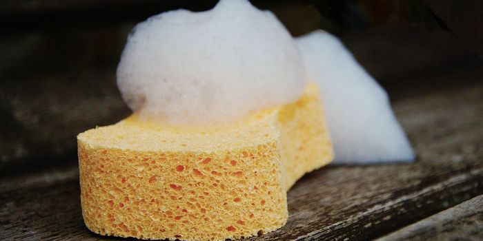 Can Bacteria be Effectively Removed From Sponges?
