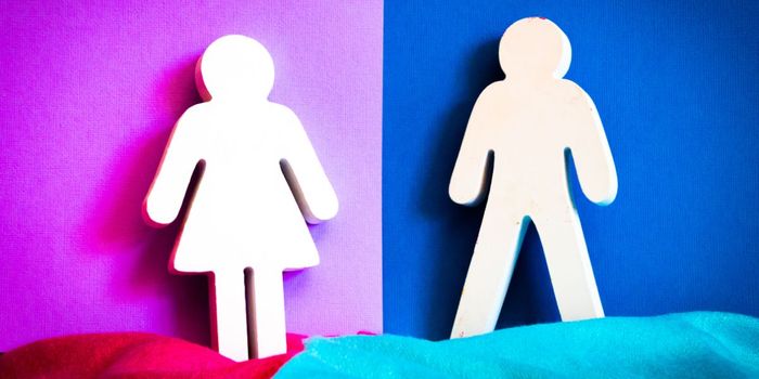 Effects of Ketamine in Mice Depend on Sex of Human Experimenter