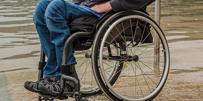 Cell Therapy Improves Muscular Dystrophy in More Ways Than One