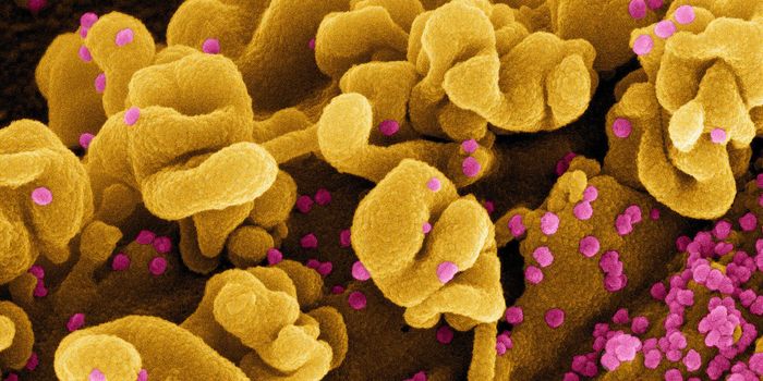 Most Omicron-Infected People Are Unaware of Their Infection