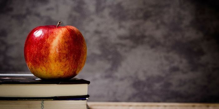 Proportion of Neurotransmitters in the Brain Predict Math Ability