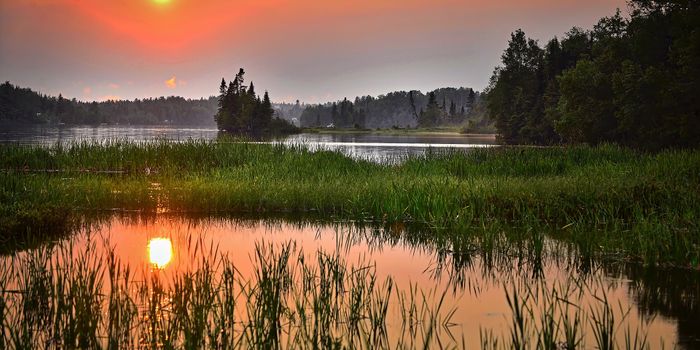 Adding Metal to Microbes: Saving the Environment with Copper