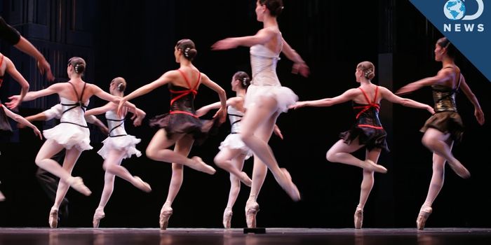 How the things you do change your brain structure