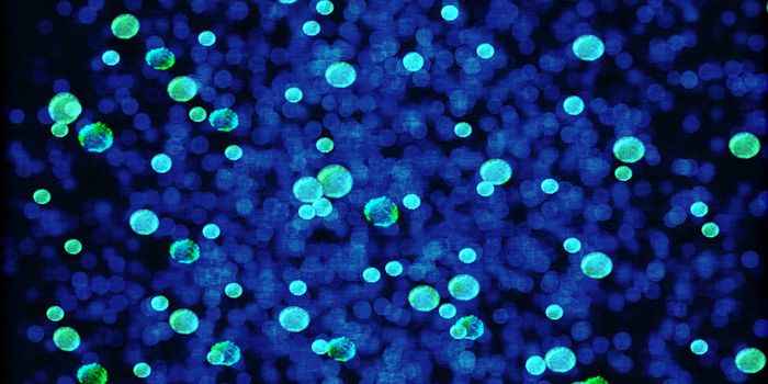 Hybrid Microorganisms Turn CO2 to Eco-plastics and Biofuels