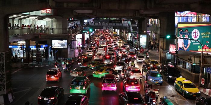 Decoding Cellular Trafficking: Promising Discoveries in ALS Research