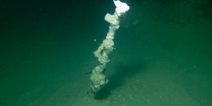 White Smokers - Sinkhole Sentinels Discovered in the Dead Sea