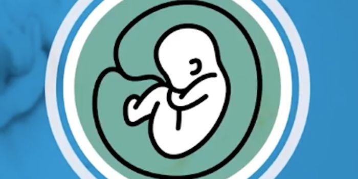 The World's First In Utero Stem Cell Transplant