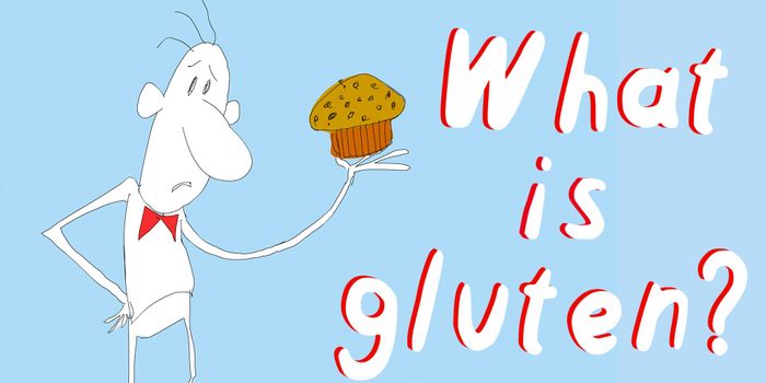 What's So Bad About Gluten?